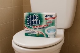 SPIC SPAN Kostki WC Fresh Forest 4szt Zawieszki do Toalety Koszyk