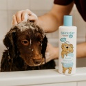 Szampon dla psów bezzapachowy 250ml hipoalergiczny delikatny bez perfum