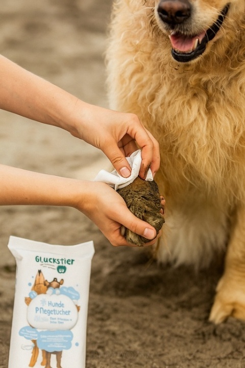 Uniwersalne chusteczki nawilżane dla psów delikatne pielęgnacyjne 60 szt