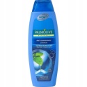 Palmolive Szampon Przeciwłupieżowy Wild Mint 350ml Odświeżający Włosy