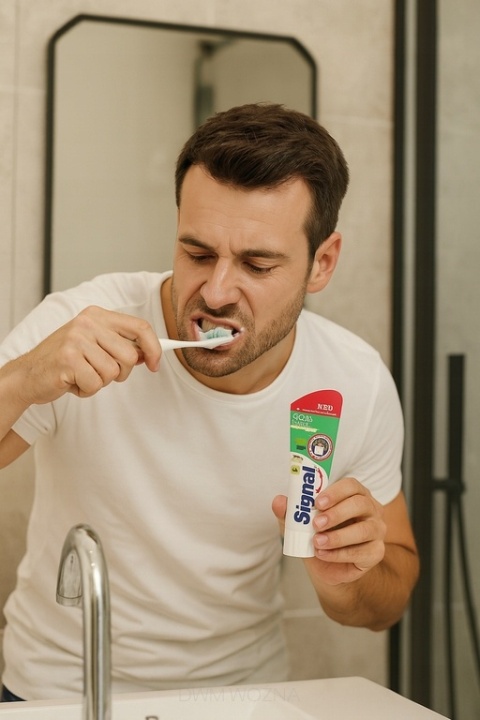 Pasta do Zębów Signal 75ml Ochrona Szkliwa Cool Mint Mięta Orzeźwiająca